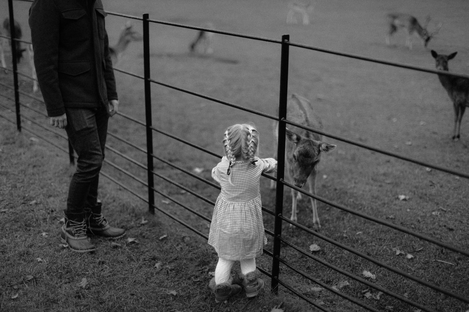 Amsterdam bruiloft grachten