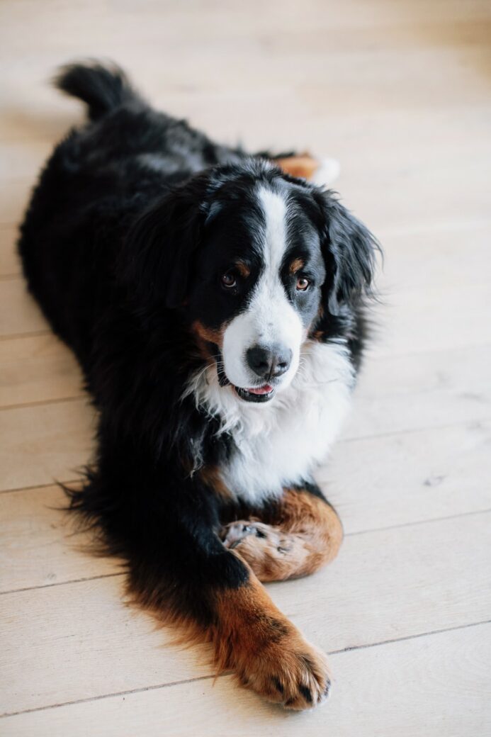 Familie fotoshoot Amsterdam Centrum